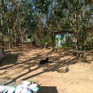 ร้านแซ่บอีหลี วัดป่าภูก้อน นายูง