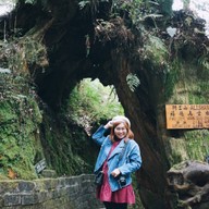 บรรยากาศ Sacred Tree