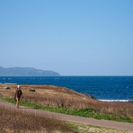 บรรยากาศ Hado Cape