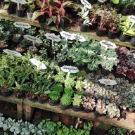 บรรยากาศ ตลาดธนบุรี (สนามหลวง 2)