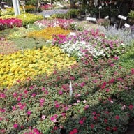 บรรยากาศ ตลาดธนบุรี (สนามหลวง 2)