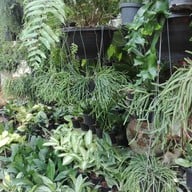 บรรยากาศ ตลาดธนบุรี (สนามหลวง 2)