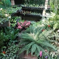 บรรยากาศ ตลาดธนบุรี (สนามหลวง 2)