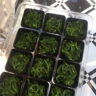 Zairah beef shabu halal  คลองหนึ่ง