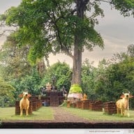 บรรยากาศ ศาลพระอิศวร