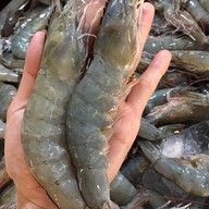 กุ้งอบวุ้นเส้นแม่พิมพ์ใจตลาดน้ำคลองลัดมะยม หมู่บ้านพระปิ่น3