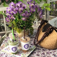 เมนูของร้าน ฅ.กาแฟซดสด