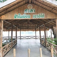 บรรยากาศ ปั่นในป่าคาเฟ่