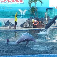 บรรยากาศ Oasis Sea World