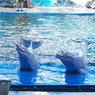 บรรยากาศ Oasis Sea World