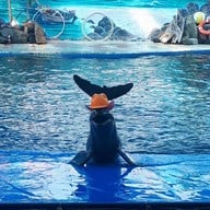 บรรยากาศ Oasis Sea World