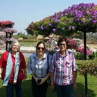 Aga Flowers at Aga Happy Farm