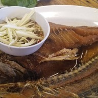 เมนูของร้าน ครัวต้นไทร