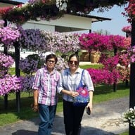 Aga Flowers at Aga Happy Farm