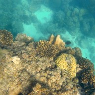 เกาะยอ สัตหีบ