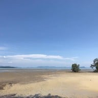 หาดท่าหลา