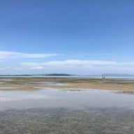 หาดท่าหลา