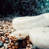 บรรยากาศ Monster Aquarium