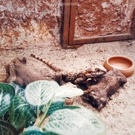 บรรยากาศ Monster Aquarium