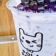 POLA POLAR รอบเวียง