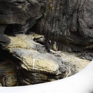 บรรยากาศ Oceanário de Lisboa