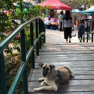 บรรยากาศ ตลาดน้ำราชมงคล
