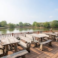 ควายคะนอง