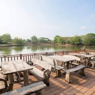 บรรยากาศ ควายคะนอง