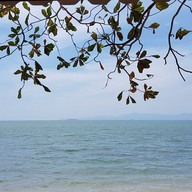 อ่าวใหม่ซีฟู๊ด