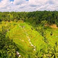 Surya Terrace Cekungan