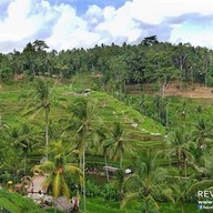 Surya Terrace Cekungan
