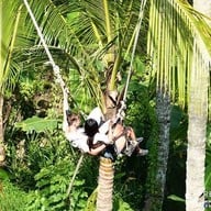 Surya Terrace Cekungan