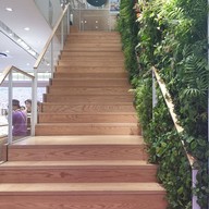 Innisfree green Cafe Myeongdong