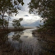 บรรยากาศ เขตห้ามล่าสัตว์ป่าแหลมตะลุมพุก