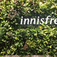 Innisfree green Cafe Myeongdong