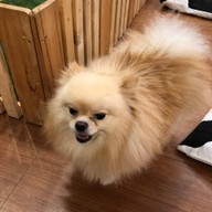 กระต่ายอวดดี