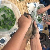 Happy Healthy Spa แพร่