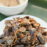 บรรยากาศ ชุมชนแหลมมะขาม