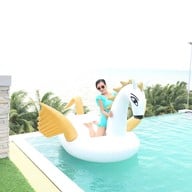 พาณิต้า เฮาส์