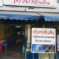 เทวดาเดินดิน