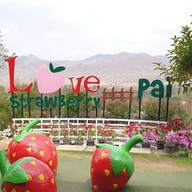 บรรยากาศ Love Strawberry Pai