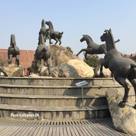 Terra Cotta Warriors Museum