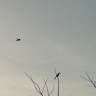 Baan Rimtalay Seafoodrestauran&bar