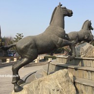 Terra Cotta Warriors Museum