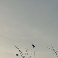 Baan Rimtalay Seafoodrestauran&bar