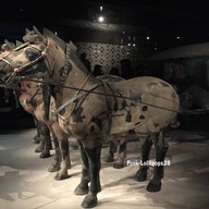 Terra Cotta Warriors Museum