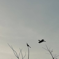 บรรยากาศ Baan Rimtalay Seafoodrestauran&bar