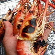 โคตรกุ้ง พระราม5
