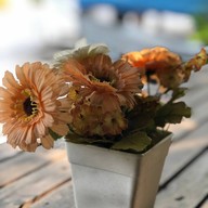 หน้าร้าน Wiwa House Cafe'