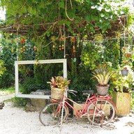 สวนพฤกษชาติภูเก็ต